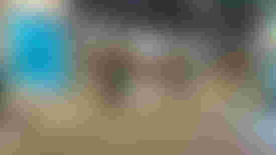 P1063191.jpeg